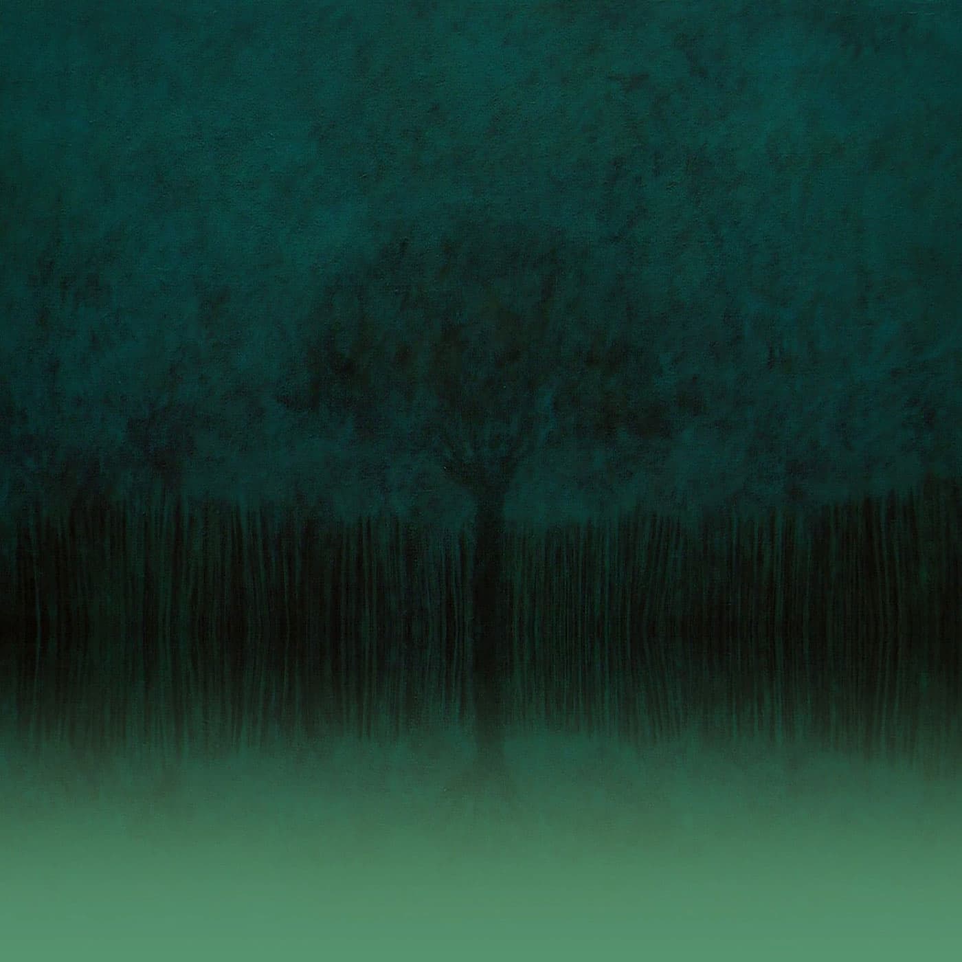 TOMAS VENDITTI — EP